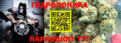 молекула духа Чебоксары