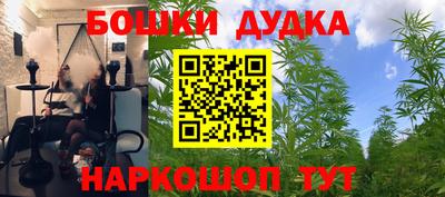 стаф Шахты